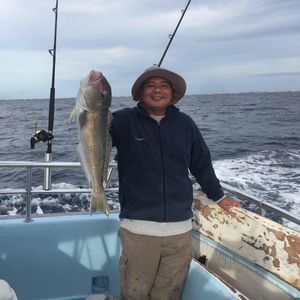 Meet your Posher, Jacky